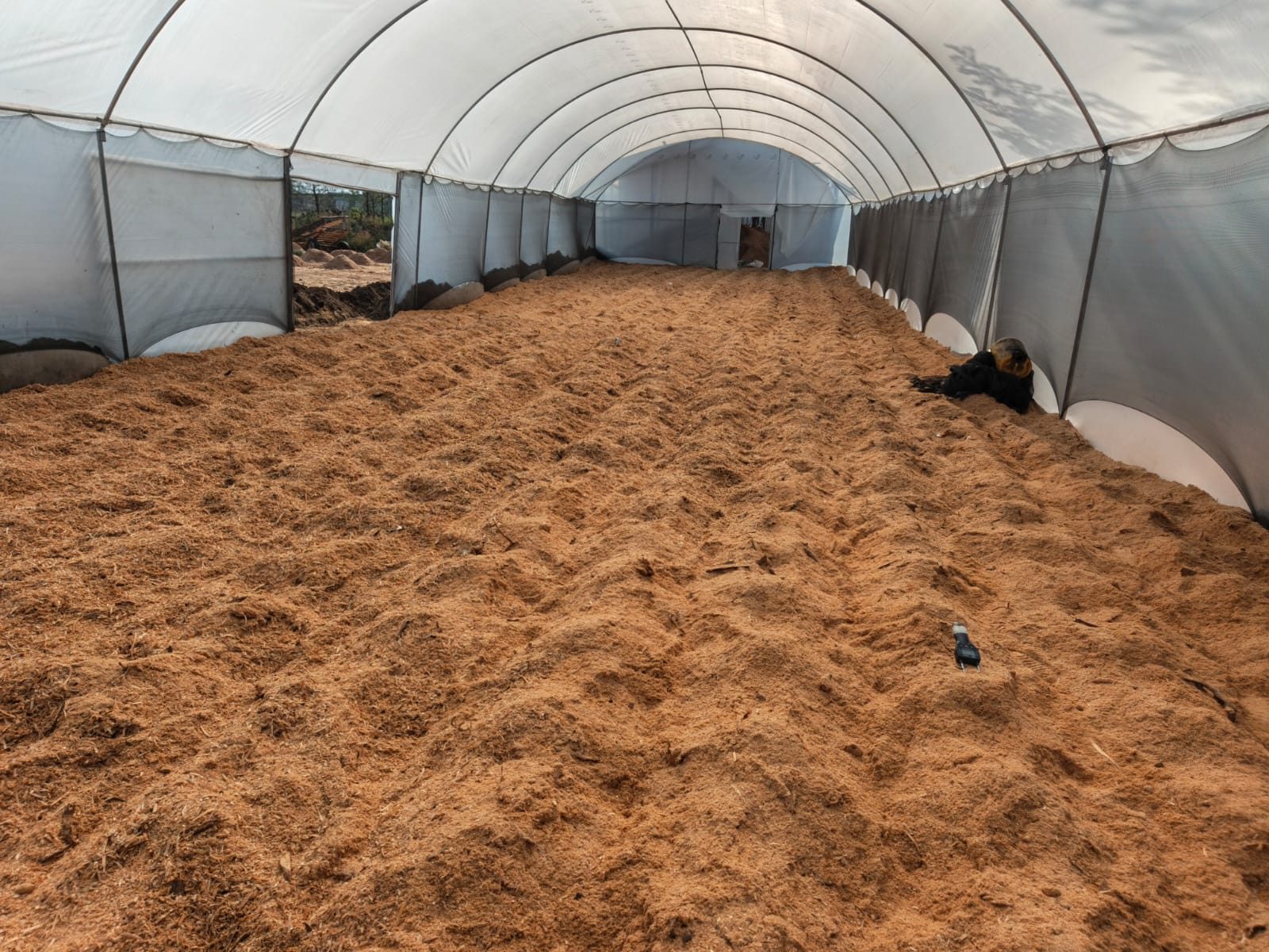 Drying biomass in solar dryer