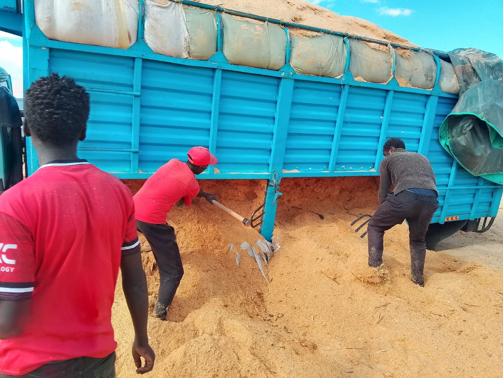 Biomass waste collection Kenya